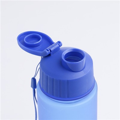 Бутылка для воды "My bottle", 500 мл, 21 х 6 см
