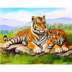 Отдыхающие тигры