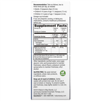Nature's Way, Bronchial Soothe, экстракт листьев плюща, 120 мл (4 жидк. Унции)