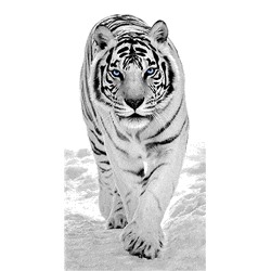 Полотенце махровое пестротканое жаккардовое С81-ЮА 70х140 (5979, Тигр белый, 420)