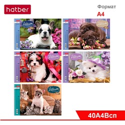 Альбом для рисования 40 л., ф. А4, на спирали, перфорация на отрыв, серия «Любимцы»