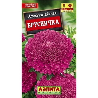 Астра Брусничка китайская