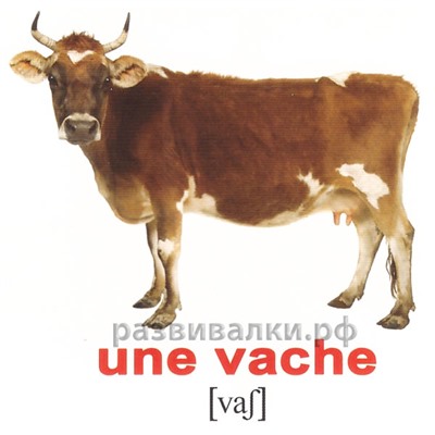 Французские карточки "Домашние животные"