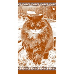 Полотенце махровое пестротканое 70х140 артикул С81-ЮА рис. 6861, Сибирский кот, бежевый