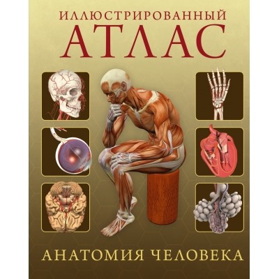 Иллюстрированный атлас. Анатомия человека Энциклопедии Роубак 2024