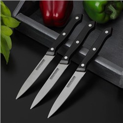 Набор кухонных ножей «Ночь», 3 предмета, лезвие 12 см, цвет чёрный