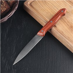 Нож «Универсал», лезвие 12,5 см, цвет коричневый