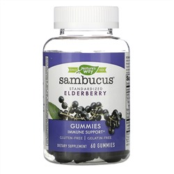 Nature's Way, Sambucus, стандартизированный экстракт бузины, 60 жевательных таблеток