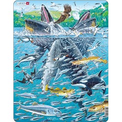 Пазл Larsen «Горбатые киты в стае сельди», 140 эл. FH47