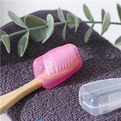 Набор футляров для зубной щётки, 4×2×2 см, 5 шт, цвет МИКС