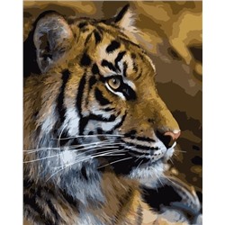 Тигриный профиль