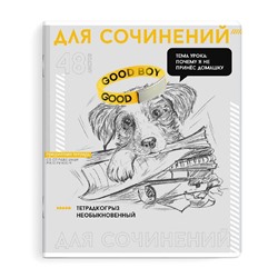 Тетрадь предметная арт. 67548/ 16 "ЯРКИЕ ДЕТАЛИ" ДЛЯ СОЧИНЕНИЙ /48 л., А5+, вн.блок - линия, белый офсет, мягкий переплёт (2 скобы), облож.- мелованный картон 190 г/м², выборочный ТВИН УФ-лак, Подкладные листы со справочной информацией/