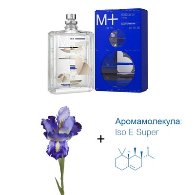 Molecule 01 + Iris Escentric Molecules 100мл