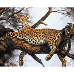 Картина по номерам 40х50см Леопард на отдыхе (холст, подрамник, 32цв)