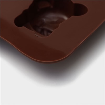Форма силиконовая для льда и кондитерских украшений Доляна «Зоопарк», 21×10 см, 8 ячеек, цвет МИКС