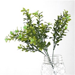 Веточка декоративная Самшит 30 см зеленая бело - зеленые цветы