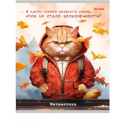 Тетрадь 48л. КЛЕТКА «ЖИЛ БЫЛ КОТ» МАТЕМАТИКА, скрепка, мелованный картон, без обработки (80; 10)