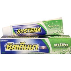 Systema Gum Care Toohtpaste Spring Floral Mint Зубная паста, Весенняя мята, 90 гр(8850002017566)