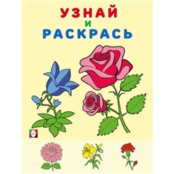 Узнай и раскрась.Цветы