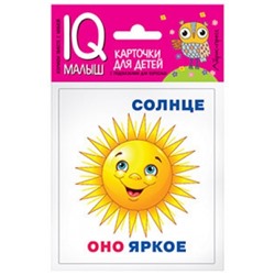 Умный малыш. Он, она, они, оно.  Набор карточек для детей.