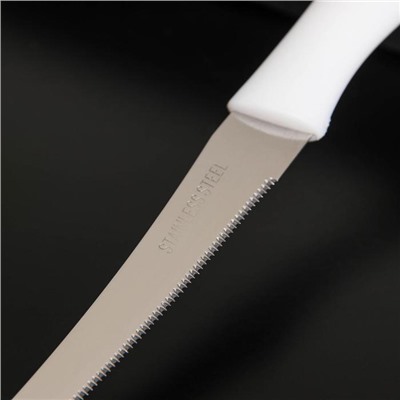 Нож кухонный для цитрусовых «Ария», лезвие 12 см, цвет МИКС
