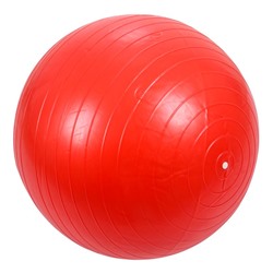 Мяч для фитнеса 55 см. 141-21-59 в Краснодаре