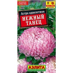 Астра Нежный Танец Аэлита