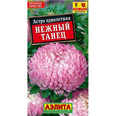 Астра Нежный Танец Аэлита