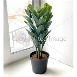 Кашпо растение Земиакулькас 57 см