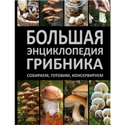 Большая энциклопедия грибника. Собираем, готовим, консервируем. ЛучшКнигГрибника Здорнова 2017