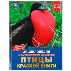 Птицы Красной книги (Энциклопедия А4 с развивающими заданиями)