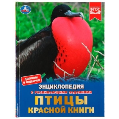 Птицы Красной книги (Энциклопедия А4 с развивающими заданиями)