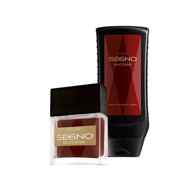 Набор Avon Segno Success