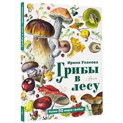 Грибы в лесу(более 50ти видов грибов) Грибы Уханова 2023