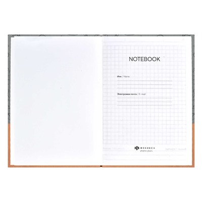 Записная книжка "Notebook" арт. 61481 ГРУСТНЫЙ КОТ / 120х170 мм, 80 л., твёрдый переплёт, полноцветная печать, УФ-лак выборочный , матовая ламинация. 65 г/м², печать в одну краску, клетка, недатированный,