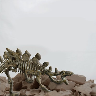 Набор для экспериментов KONIK Science «Раскопки ископаемых животных. Стегозавр» SSE022