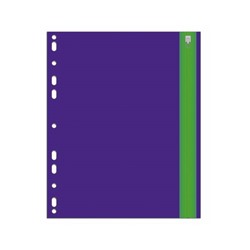 Папка для документов, формат А5, 180 мкм, фиолетовый 48208