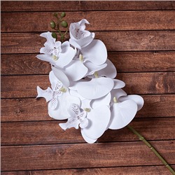 Ветка декоративная Орхидея Афродита 60 см белые цветы