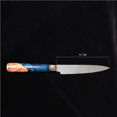 Нож универсальный Paladium, 11,7 см, дамасская сталь VG-10