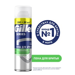 Gillette Пена д/б 250мл Series Sensitive (для Чувствит кожи)
