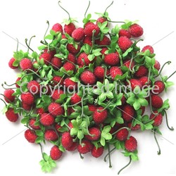 ягода земляника в сахаре