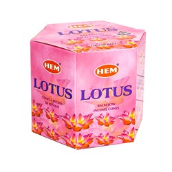 Благовония HEM пуля Лотос Lotus упаковка 40 шт стелющий дым
