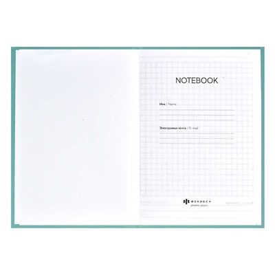 Записная книжка "Notebook" арт. 61482 МОРДАШКИ / 120х170 мм, 80 л., твёрдый переплёт, полноцветная печать, УФ-лак выборочный , матовая ламинация. 65 г/м², печать в одну краску, клетка, недатированный,