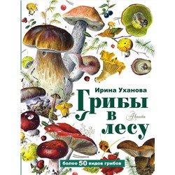 377580 АСТ Уханова И.А. "Грибы в лесу"