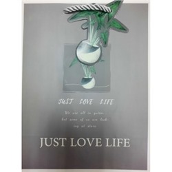 Пакет подарочный "Just love life" S (18х23х10см)