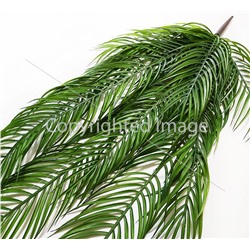 Ветка пальмы папоротник Перо 120 см