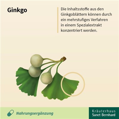 Krauterhaus Sanct Bernhardt Herbal tea Ginkgo Гинкго leaves, 120 г