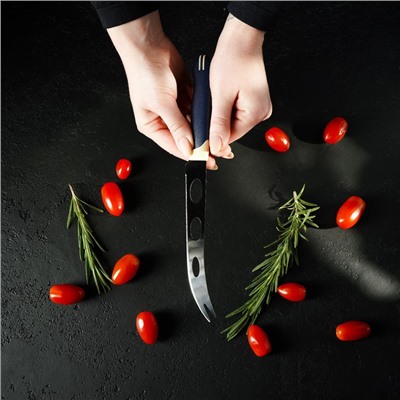 Нож для сыра Доляна «Страйп», лезвие 15 см, цвет синий