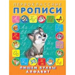 Первоклассные прописи. Пишем буквы, алфавит