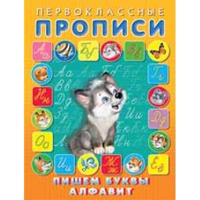 Первоклассные прописи. Пишем буквы, алфавит